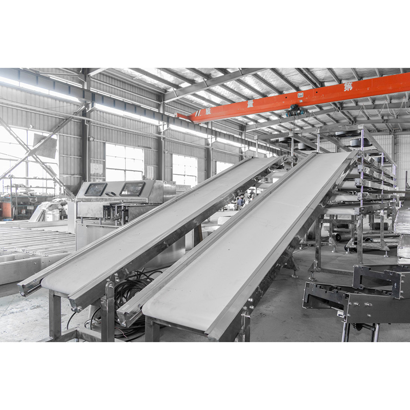 FLD-Five Layers Six Meters Cooling Belt Conveyor